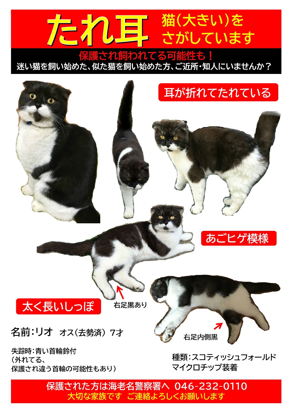 ハル Ayj6vwecom0utv0 Twitter