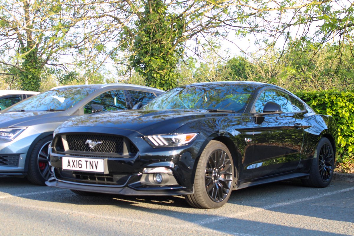 SmallScottish's tweet image. Cruise last night. Couple photos from then 👌