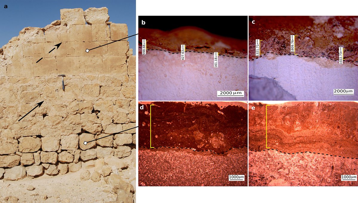 RoeyAngel's tweet photo. 🚨Publication alert🚨
Really glad to see this finally coming out in @EGU_BioGeo: https://t.co/5Rfte1mXtm
Where we use a combination of archaeology and microbiology to confine the development rate of arid biological rock crusts 

🧵1/4 https://t.co/st6IKN2QIm