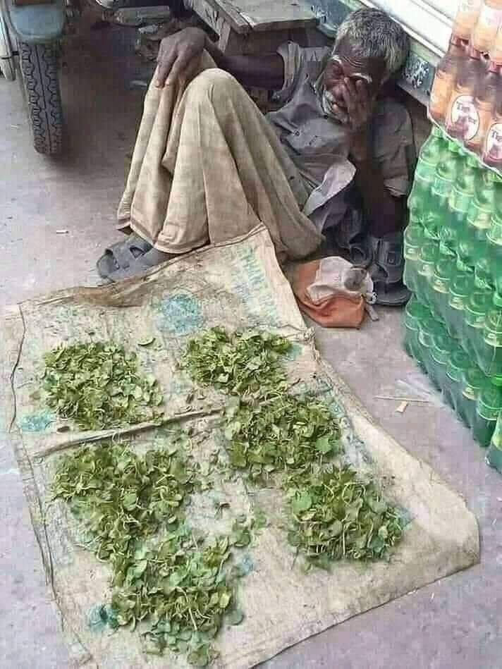 viewgraam's tweet photo. राकेश टिकैत का आंदोलन ऐसे किसानों के लिए होता तो मुझे लगता है हर इंसान उसको स्पोर्ट करता 

सहमत हो तो रिट्वीट करें। https://t.co/9TaL2rppRU