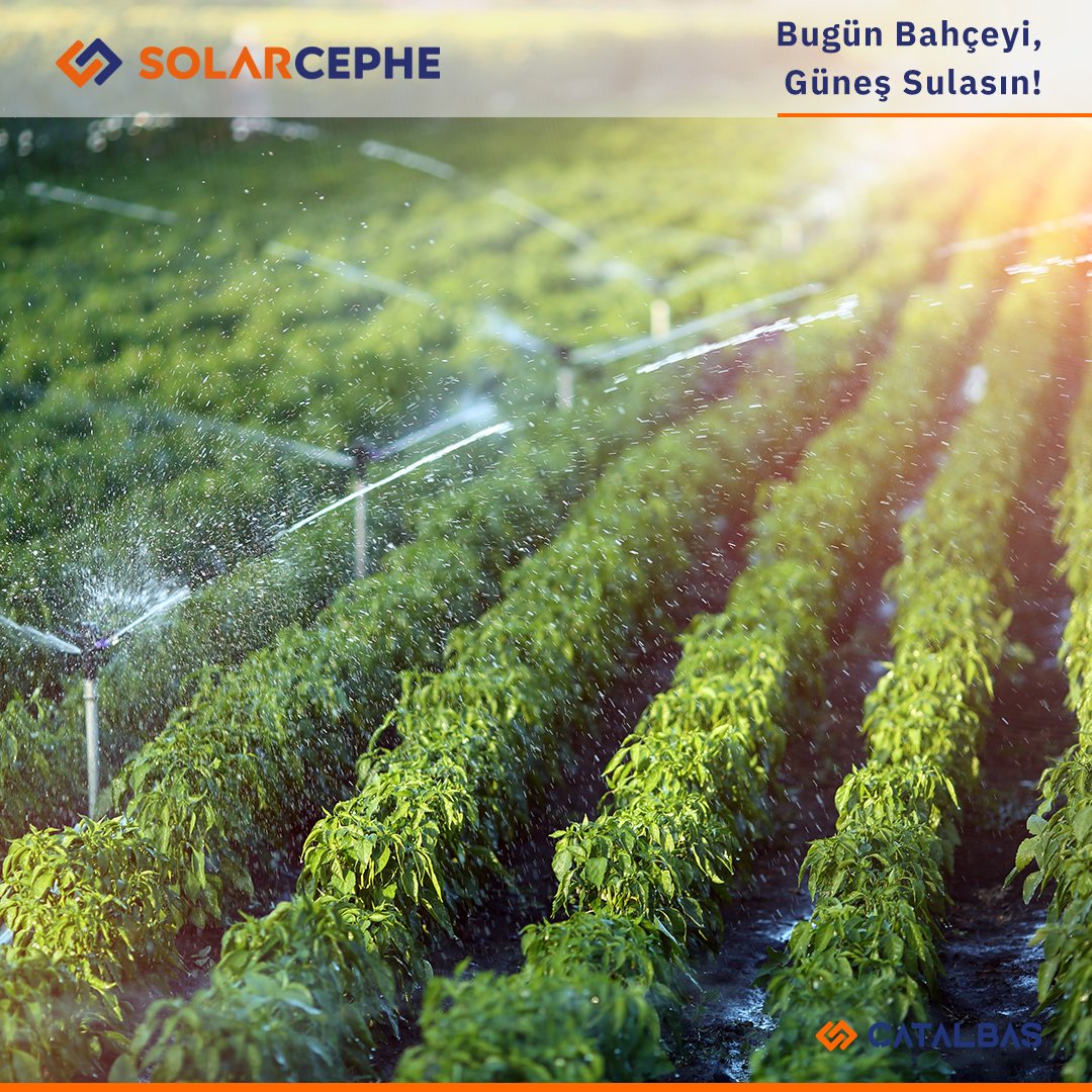 🌞 Güneş enerjisinden faydalanarak elde edilen elektrikle bahçe, sera, arazi gibi alanlarınızdaki sulama pompalarınızı çalıştırabilirsiniz.

💹 Uzman kadromuz eşliğinde ücretsiz bilgilendirme, keşif ve teklif hizmetlerimiz için hemen arayın.

#solarcephedenhaberler