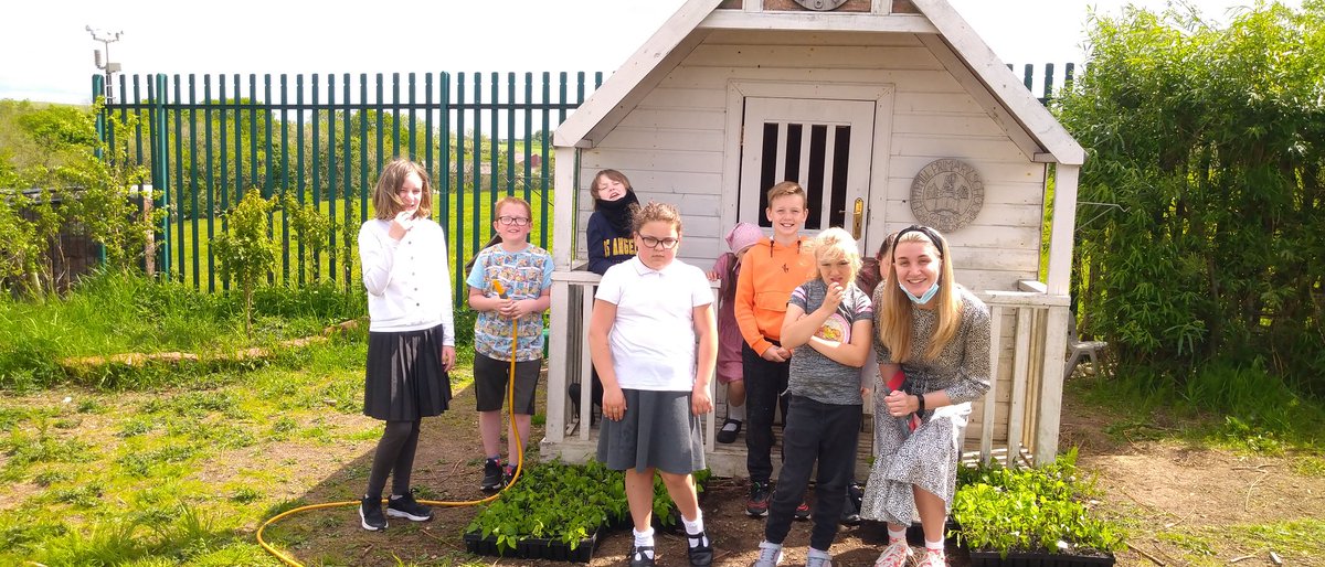 EadhaAspen's tweet image. Another 1000 mini #aspen plugs potted up by lots of wee green fingers @eacLittlemillPS and @EccLogan destined eventually for reforesting of opencast mines supported by Coalfield Communities Landscape Partnership #CCLP #WorldEnvironmentDay2021