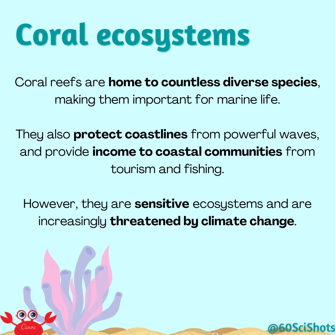 60SciShots's tweet photo. It's the first #FemaleFriday of #Pride2021 and we'll be highlighting work done by #LGBTQ scientists! Up first is Dr. Ruth Gates, pioneer of coral reef #research and #conservation (1/2)

#scicomm #WomenInSTEM #WomenInScience #PrideMonth #CoralBleaching #ClimateCrisis #savetheocean https://t.co/6CcpoZfXMO