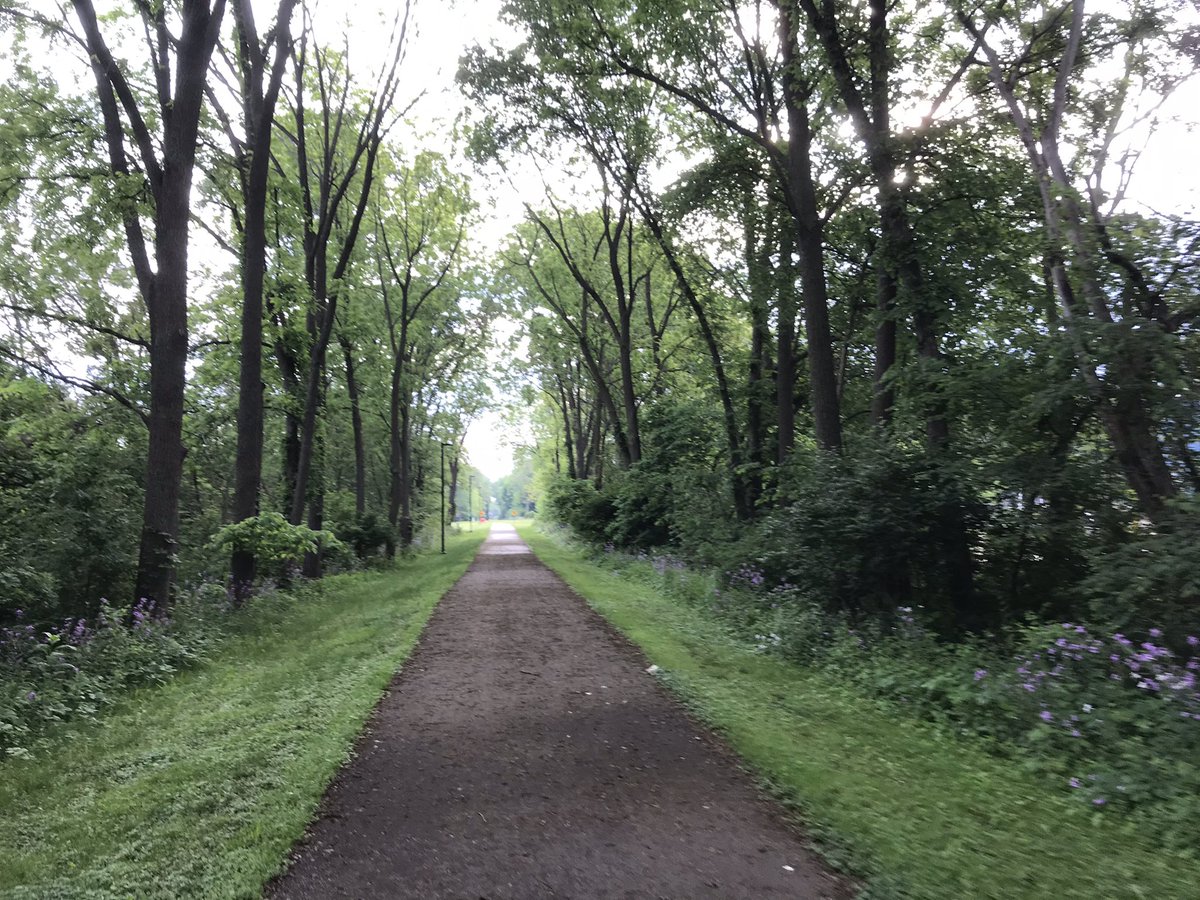AaronDimick's tweet photo. I had a lovely time biking to work this morning on the MLK Equality Trail! I zipped from the Essex Heights area to @downtownjxn very quickly. Check it out @MobilityJackson https://t.co/xWoTWabD6J