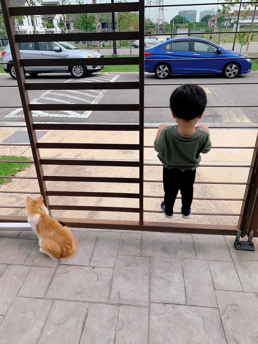 Shopee : parcel is out for delivery 

Me: