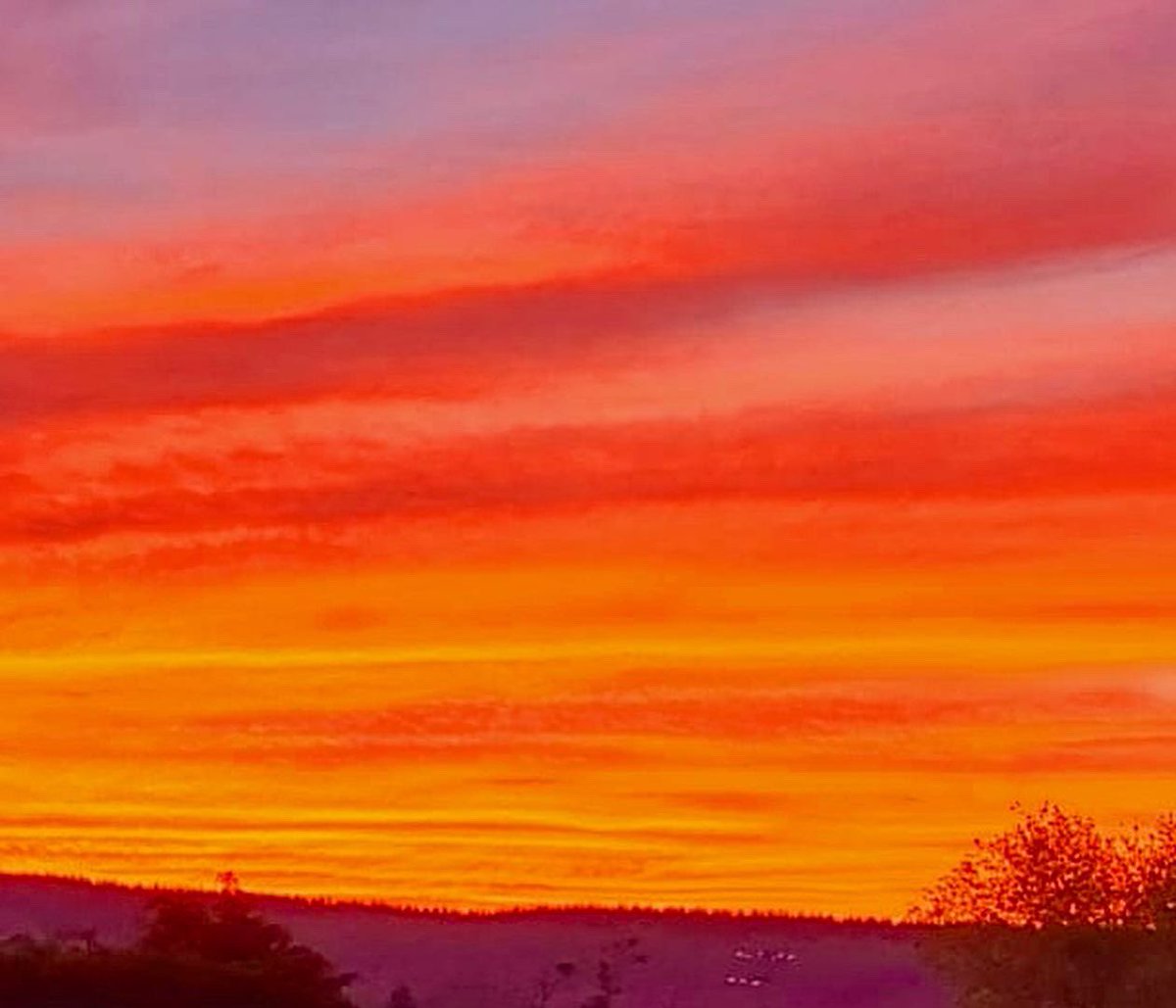 MichpicturesG's tweet photo. Ciel magnifique d’un coucher de soleil caché par les nuages
.
#coucherdesoleil #CIEL #MagnifiqueFrance #landscape #landscapephotography #landscapes #photography #PHOTOS #cielorange #nature #NaturePhotography https://t.co/zfaE2cKcdH