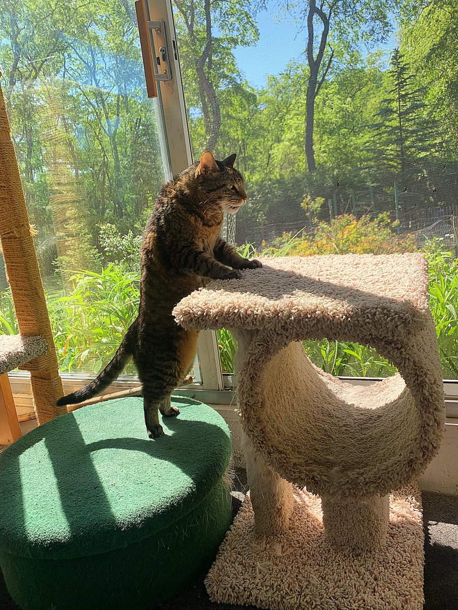 GremmysLife tweet picture