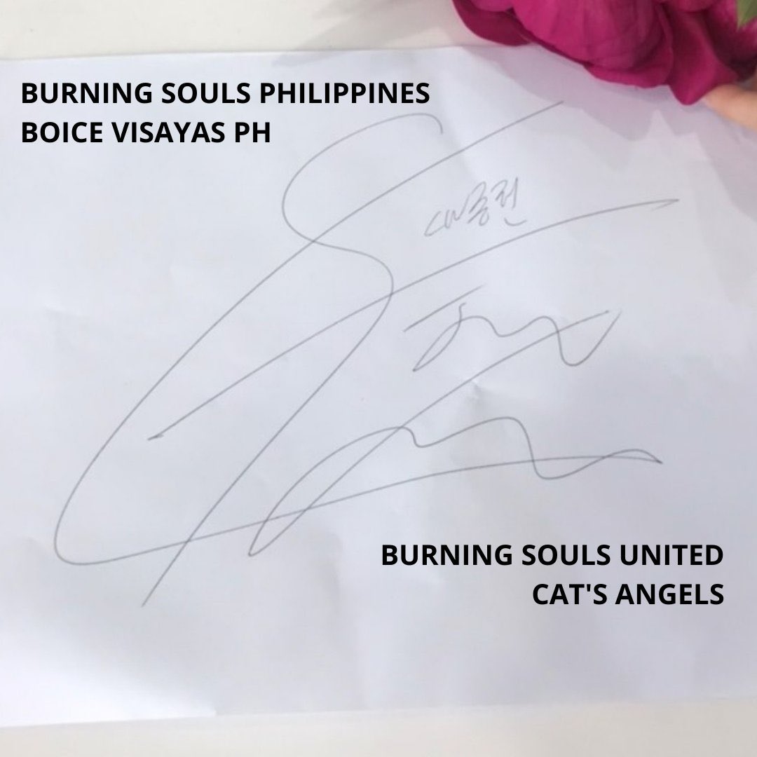 catsangels3's tweet photo. We’ve been living on prayers n faith.. This is one special gift..
When the right time comes our dream will come true..
Our CAT will show us more..
Till then we Thank him for his love..and those who participated..
CA..😻
We love you @cnbluegt 💚💚💚
@UnitedBurning @BurningSoulsPH https://t.co/pPcToOMfPh