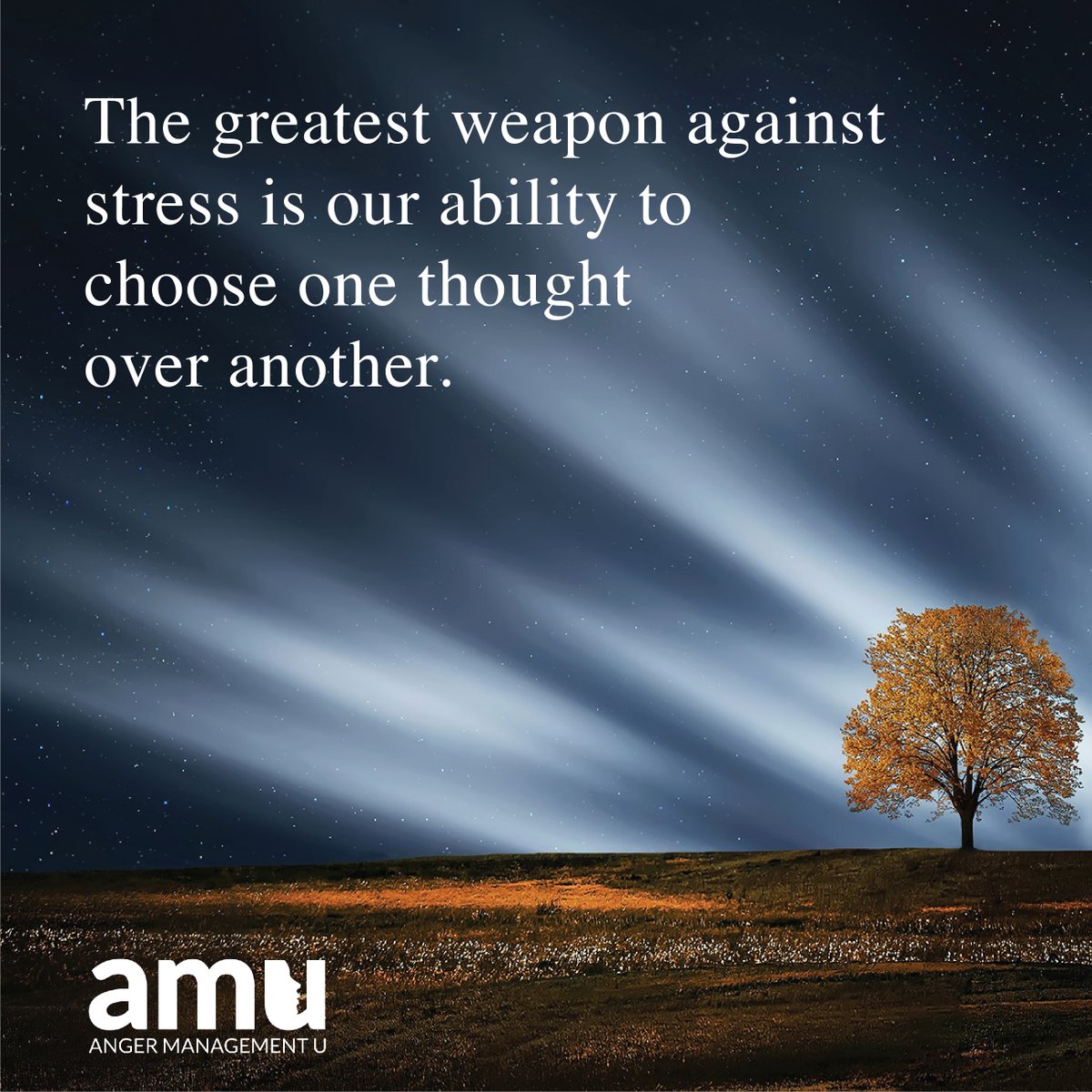 AngermgmtU's tweet photo. Practicing #selfawareness will help you identify negative thoughts that might be leading you towards stress and/or anger. If you are feeling overwhelmed, techniques include focusing on what you can control and/or attempting to find the "silver lining" of the situation. https://t.co/iQvZJSQqk2