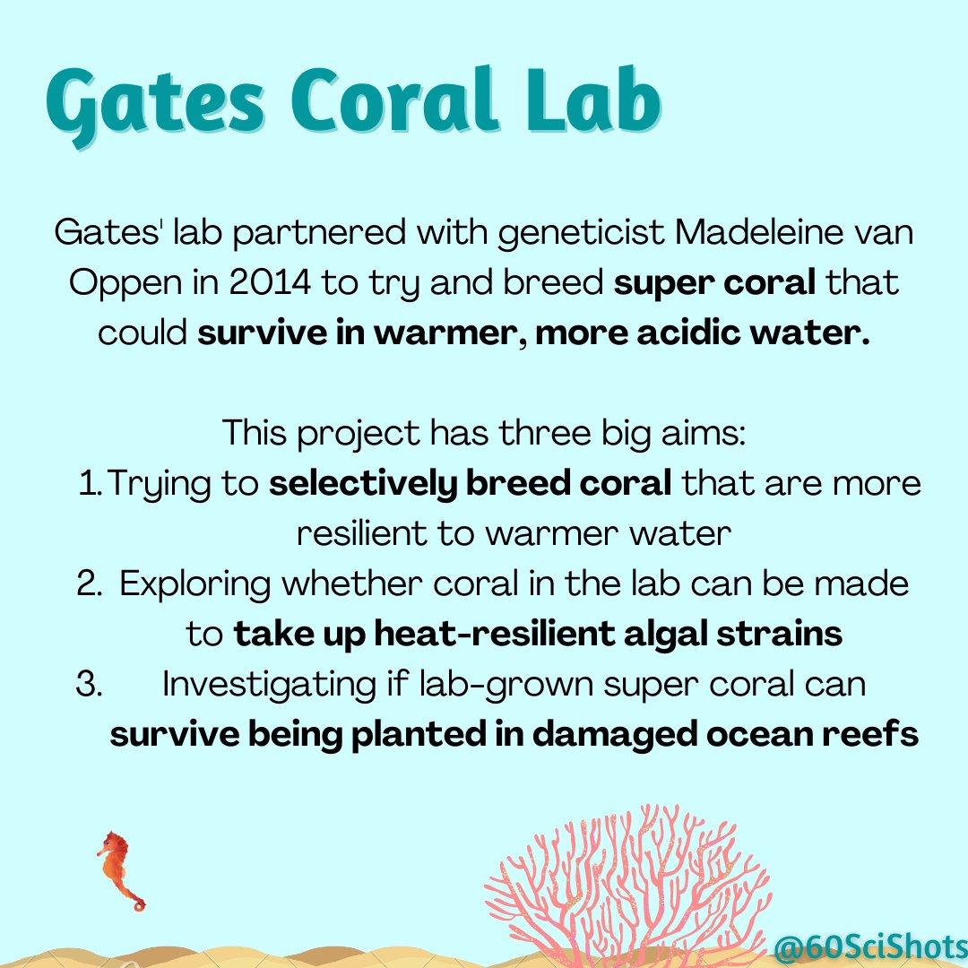 60SciShots's tweet photo. Dr. Gates is most famous for her work on Super Coral - resilient coral #stocks developed to replenish our ocean's #CoralReefs (2/2)

#scicomm #WomenInSTEM #WomenInScience #Pride2021 #PrideMonth #netflix #MarinePollution #savetheocean #FishFriday https://t.co/1LYnsXP3uU