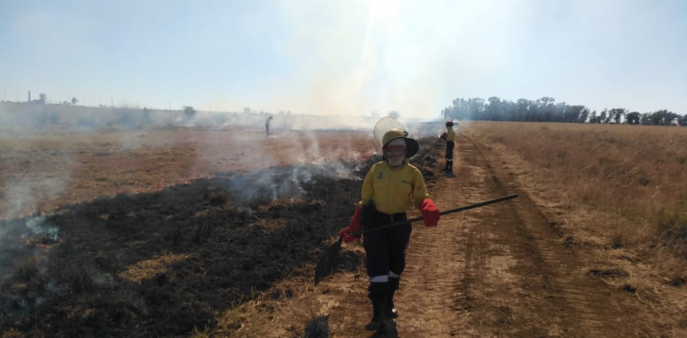 wo_fire's tweet photo. #WOF_NW's Castello and Highveld teams are assisting the Potchefstroom Fire Protection Association by conducting fire breaks at the Soetvelde Farm.
#IntegratedFireManagement
@environmentza https://t.co/9FGPnM9r9R