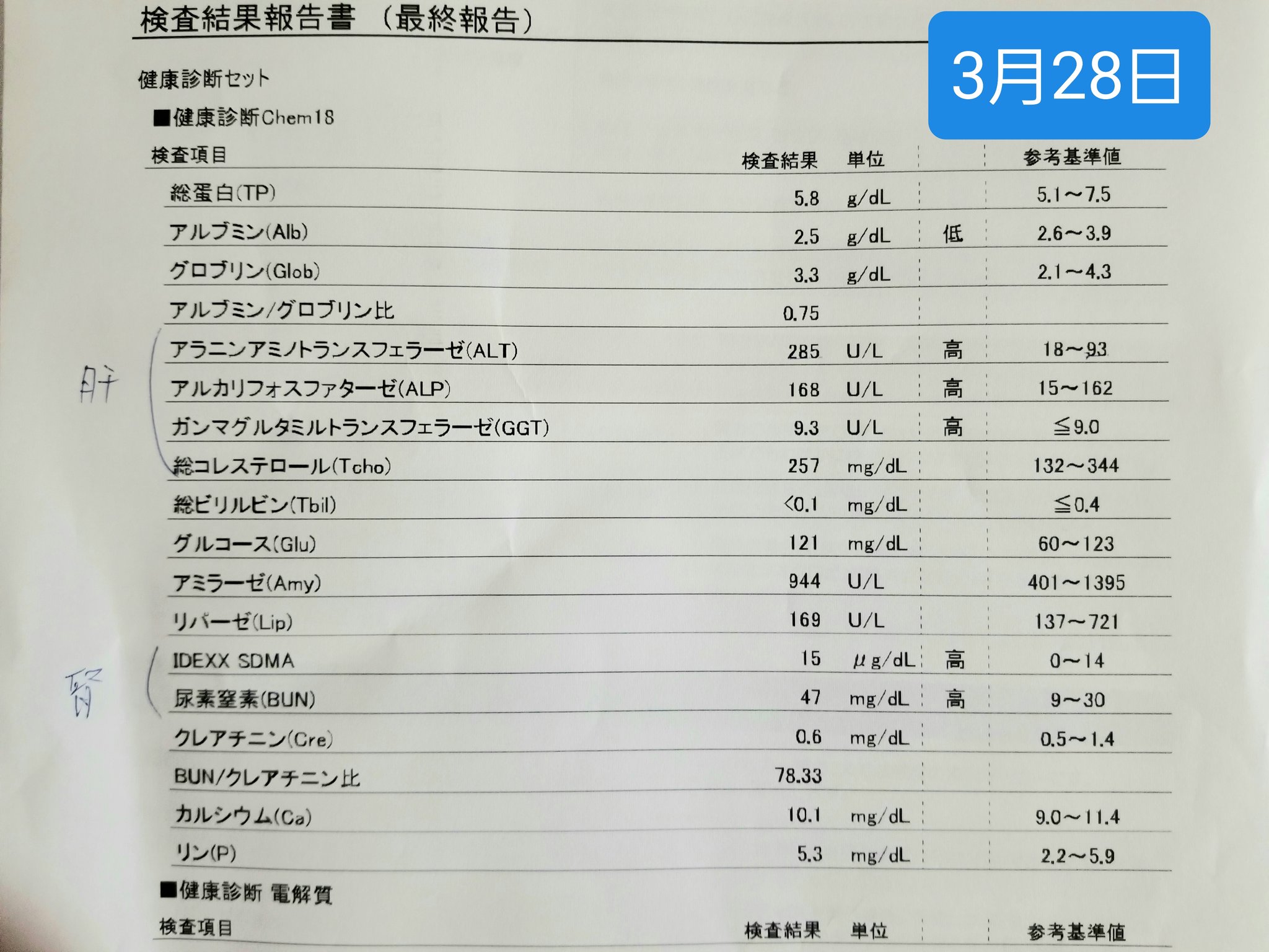 ゆきの 先週の血液検査で肝臓が正常範囲内と言われ喜んでいたのだが 見比べてみたら そんなに変わらんような 検査機関によって基準値が違うもんなのか ムム ワクチン全免除で 今年の夏はフィラリア薬も免除に なんか不安 ガタガタヘアーでしょんぼりな ゆきの 先週の血液検査で肝臓が正常範囲内と言われ喜んでいたのだが 見比べてみたら そんなに変わらんような 検査機関によって基準値が違うもんなのか ムム ワクチン全免除で 今年の夏はフィラリア薬も免除に なんか不安 ガタガタヘアーでしょんぼりな