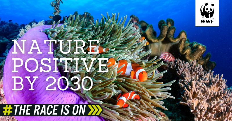 From oceans to forests, & rivers to #wildlife, nature is in peril.
 ⏰Time is running out to protect our planet.
🏃🏽#TheRaceIsOn for decision-makers to ACT.
🌳When nature thrives, so do we.
 
RT if you want a #NaturePositive world. #LeadersPledge4Nature