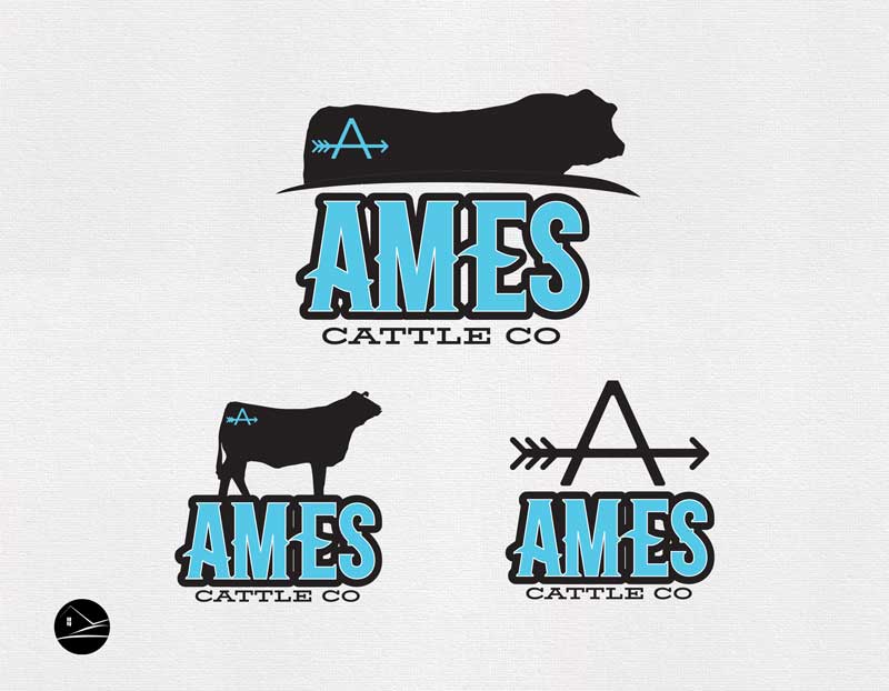 Ranch House Designs tweet media