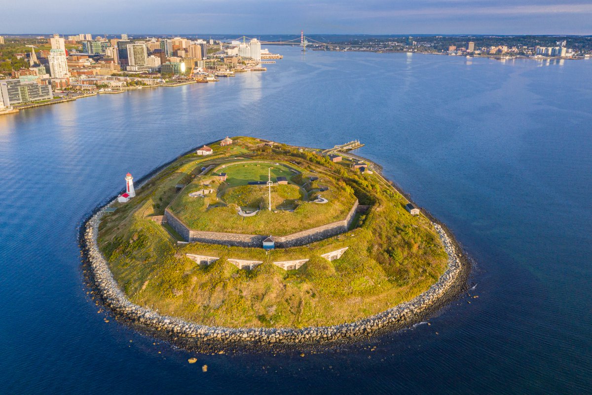 murphyshalifax tweet media