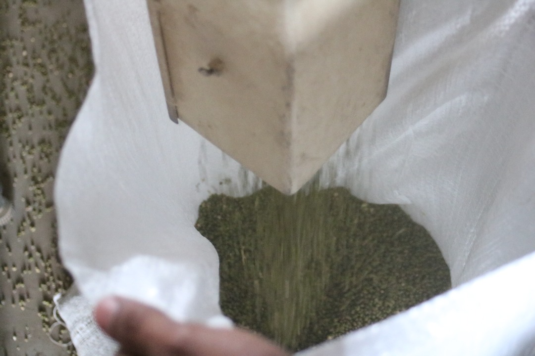 RawGrain_'s tweet photo. 🍃 ¡𝗦𝗲𝗴𝘂𝗶𝗺𝗼𝘀!

👉🏼Seguimos apostando a lo nuestro, al trabajo de nuestros empleados, maquinaria y especialmente en nuestra tierras. Somos parte del primer granero de Venezuela y nos sentimos orgullosos de ser parte de algo tan grande.

#SiembraConRawGrain🍃 #Turen https://t.co/IeNmMpnEge