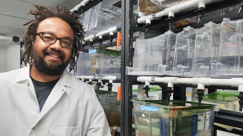 Zebrafish Rock! (@zebrafishrock) on Twitter photo Our spotlight this week is on Dr. James Allen (<a href="/JamesRAllen6/">James R. Allen</a>) who is a HHMI Hanna Gray Research Fellow with <a href="/LangenauLab/">Langenau Lab</a> <a href="/Harvard/">Harvard University</a>. Dr. Allen’s research uses #zebrafish & combinatory transgenic approaches to identify collaborating oncogenic drivers in #leukemia. #ZFishFollowFriday Our spotlight this week is on Dr. James Allen (<a href="/JamesRAllen6/">James R. Allen</a>) who is a HHMI Hanna Gray Research Fellow with <a href="/LangenauLab/">Langenau Lab</a> <a href="/Harvard/">Harvard University</a>. Dr. Allen’s research uses #zebrafish & combinatory transgenic approaches to identify collaborating oncogenic drivers in #leukemia. #ZFishFollowFriday