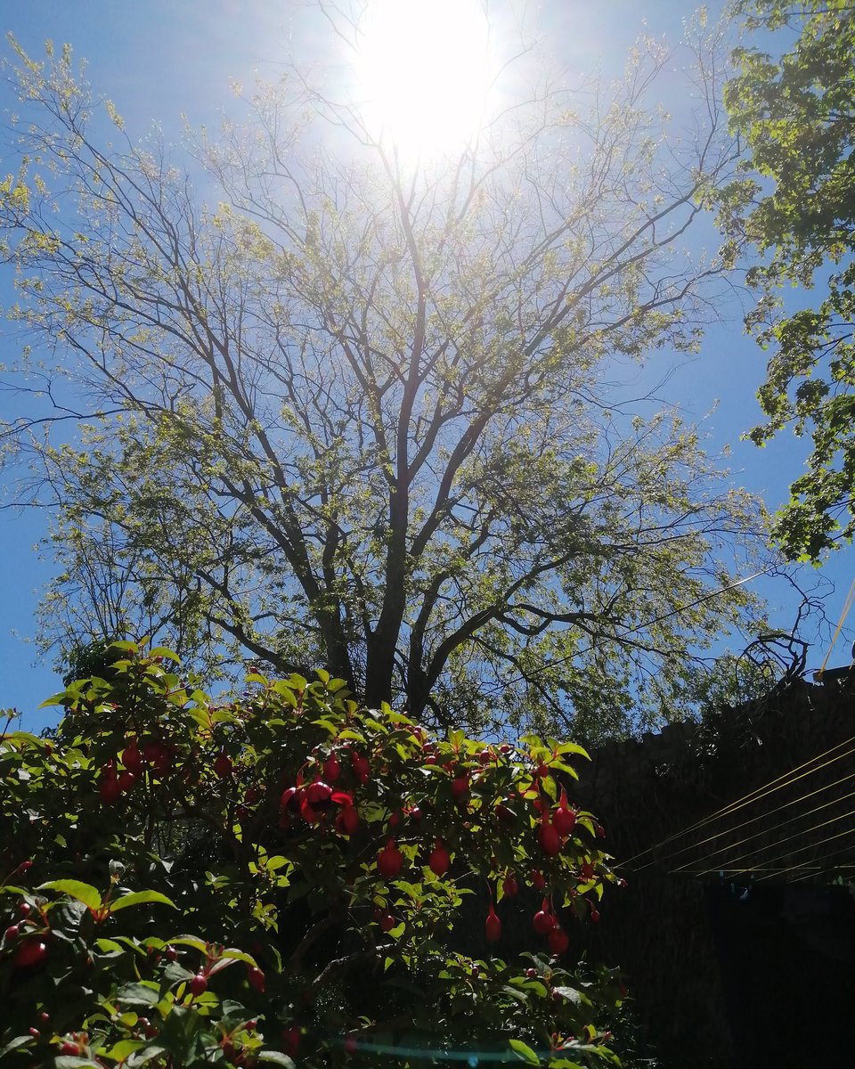 CRedbubble's tweet image. Sitting in my shared garden..
I only come out here if I'm really bored.. Oh and if its sunny...