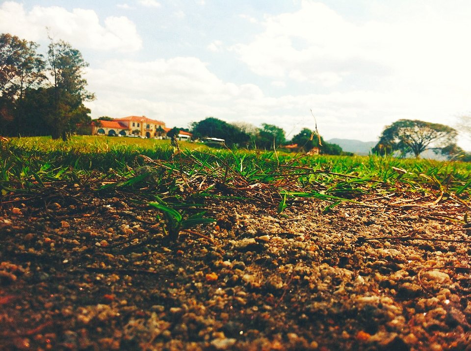 Ölmek için doğmuştur ya insan, o yüzden her yağmur sonrası toprak kokusunu sever. 
- Lev Nikolayeviç Tolstoy