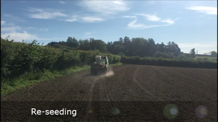 lleynsheep's tweet photo. It's finally here - Our 'Walk About with the Wernoog Flock' series.  A virtual farm tour giving a weekly video update. https://t.co/zJZ1DLmLF4 @TomErnie93  @natsheep  @NFUtweets  @FarmersGuardian @FarmersWeekly @NFYFC   #commercialsheep #sheepfarmer #youngfarmer #workingsheep https://t.co/5BjTXSw4JV