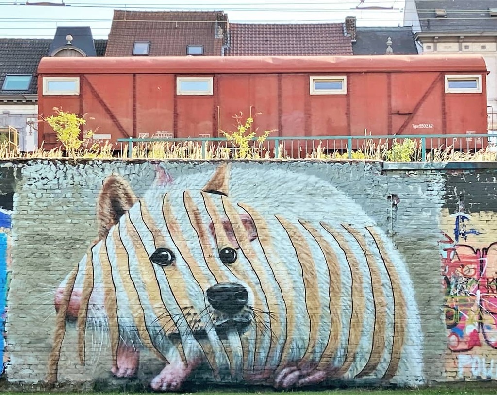 F_erre's tweet photo. #Ghent update : it's busy in the streets, here's the latest #mural by #CeePil. 
.
#Gent #streetartgent #urbanart #streetart #graffitiart #artinthestreets #graffiti #streetartbelgium #visitgent #muralart #streetartlovers #sorrynotsorryghent #graffitiart_d… https://t.co/KWdGqFG4fY https://t.co/27rRTsTr95