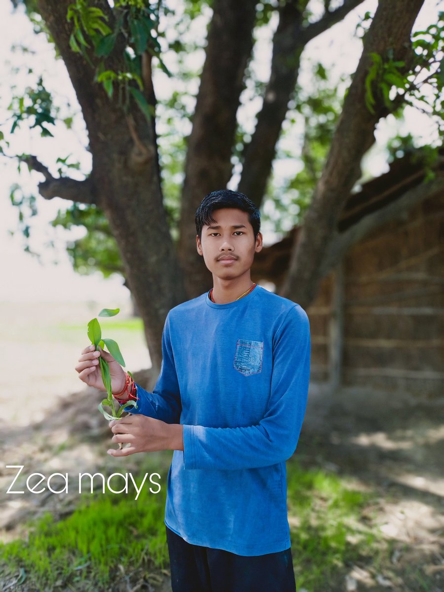 backboneoftech's tweet image. Planting trees on world environment day last year