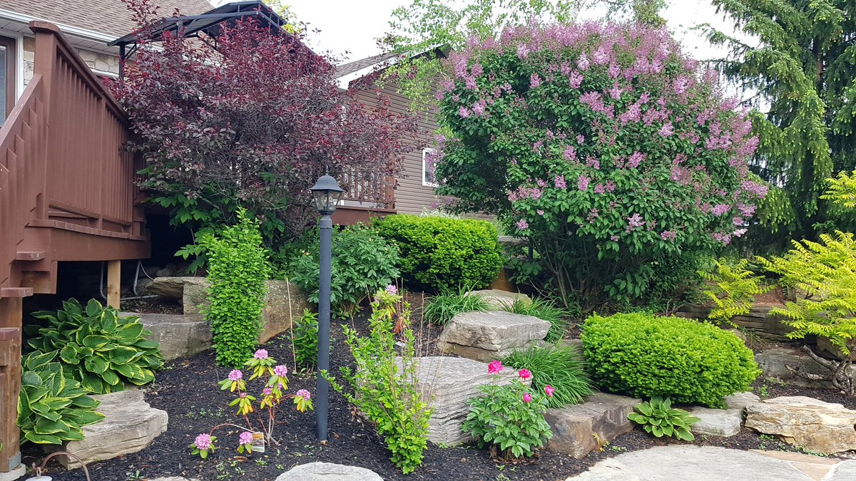 Garden is starting to show some colour. Happy Friday everyone!