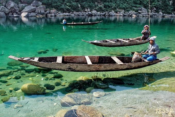 CarolinaNorbu's tweet photo. Living Root Bridge in Mawlynnong, Meghalaya is internationally famous tourist attraction which is also the Cleanest village in Asia where the water is crystal clear.
#NortheastMatters #AchapterforNE https://t.co/5QW6EEooRl