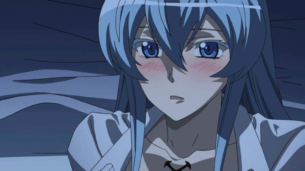 WaifuCulture's tweet photo. Esdeath 💙 https://t.co/0fRjsmZ8lg