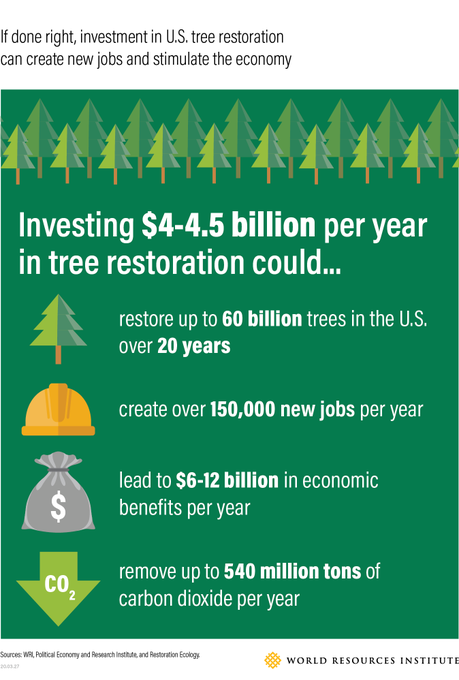 WRIClimate's tweet photo. U.S. #TreeRestoration could remove up to 540 million tons of CO2 each year through 2050 and deliver thousands of jobs and billions in economic growth.
Learn which policy proposals can help us achieve these impacts – and which ones fall short. https://t.co/w6fqgL2SBt https://t.co/XkghucQvf2