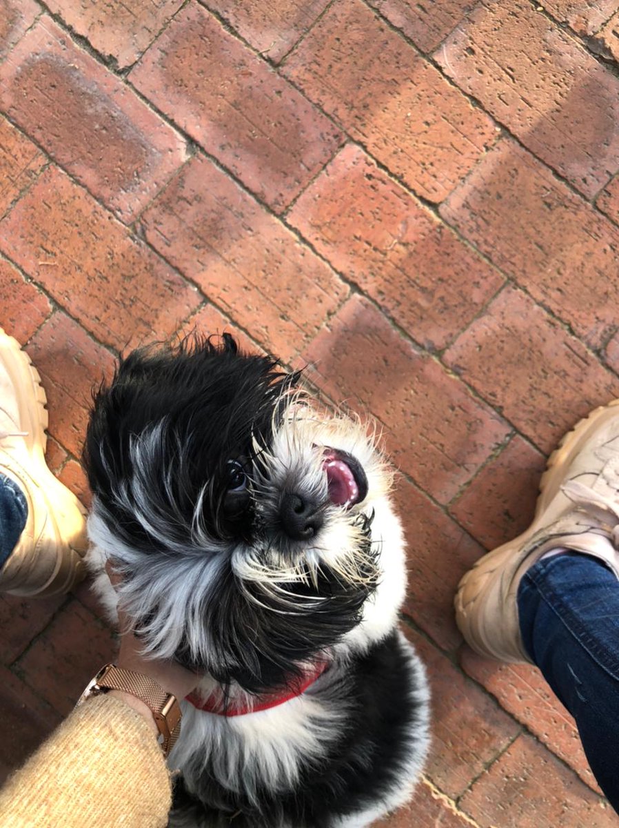 LizethCore's tweet image. Mi cielo que me da vida ✨.