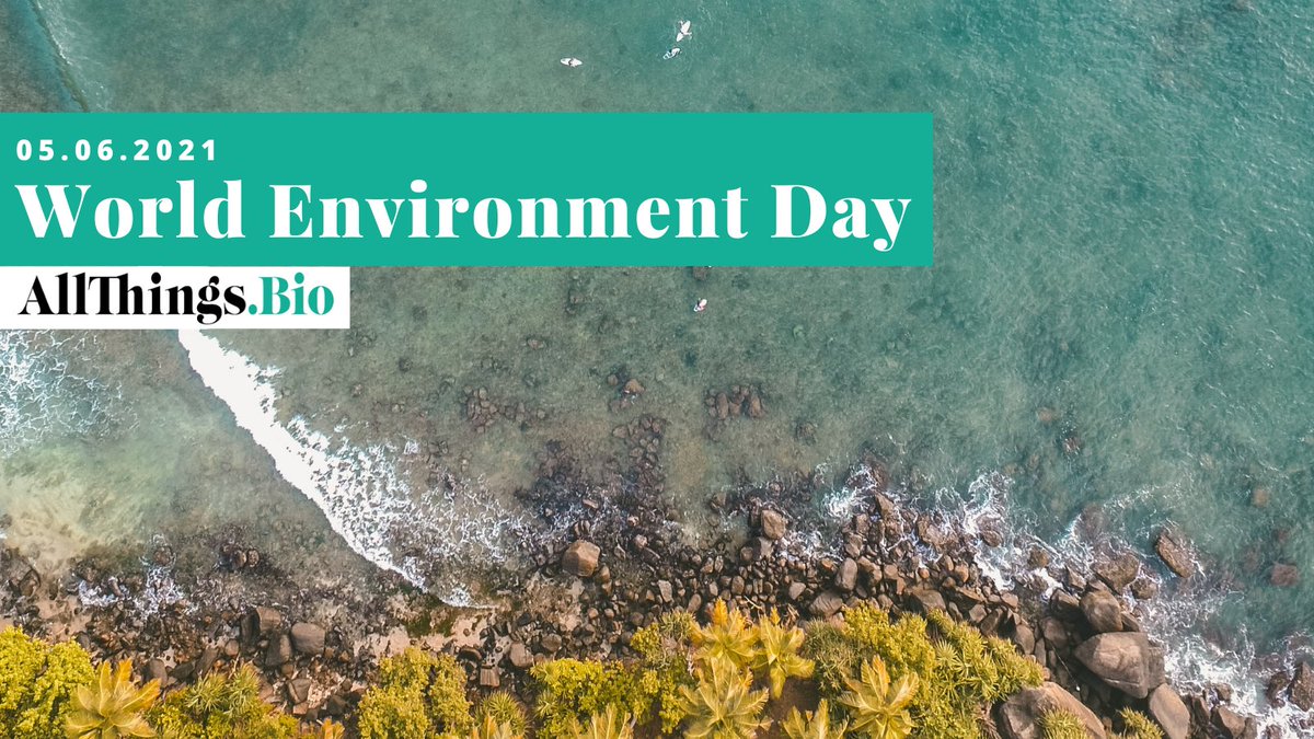 AllThings_Bio's tweet photo. Happy #EnvironmentDay2021! Let's be part of  #GenerationRestoration and work towards a more sustainable way of living 🌎 #WorldEnvironmentDay https://t.co/cVkxTWlCI8