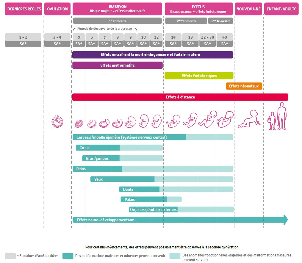 ansm's tweet image. [#MédicamentsEtGrossesse] Réduction des #risques : les #médicaments pendant la #grossesse peuvent avoir des effets détectés à la naissance ou ensuite

👉 A retenir : enceinte, les médicaments c'est pas n'importe comment !

#SantéDeLaFemme