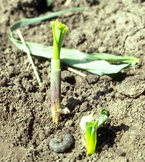 Kelly Estes tweet media