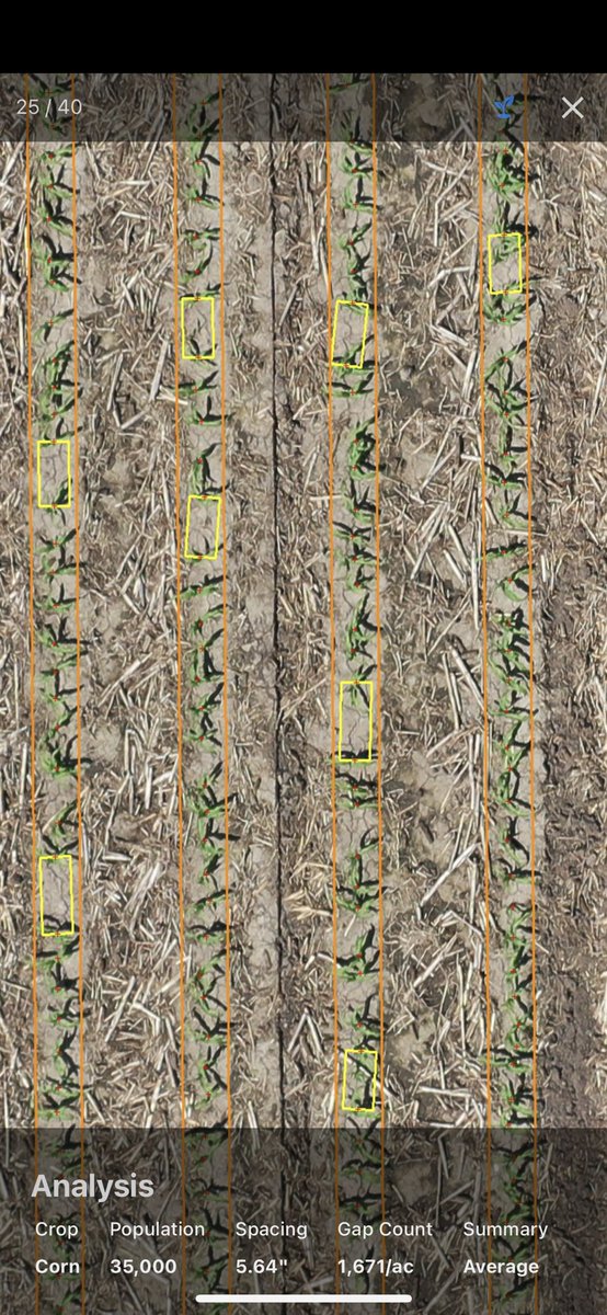 dhfinc's tweet photo. #ddstandcount #plant21 @DroneDeploy https://t.co/nmsIiB5O7h