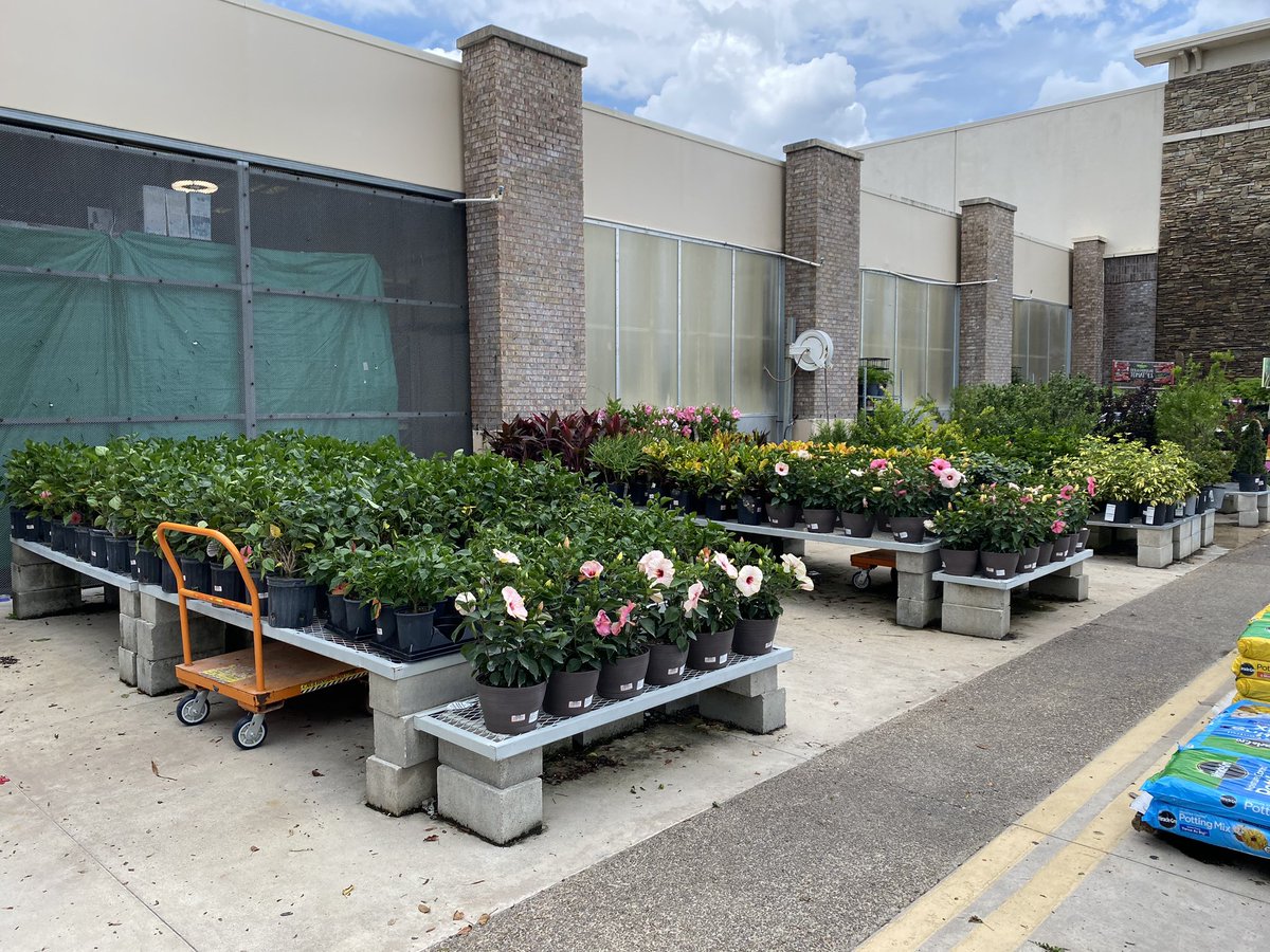 GregWilley4's tweet photo. HD 6890 West Jacksonville Florida. The store looks good merchandised well. https://t.co/HXYqXjdIuy