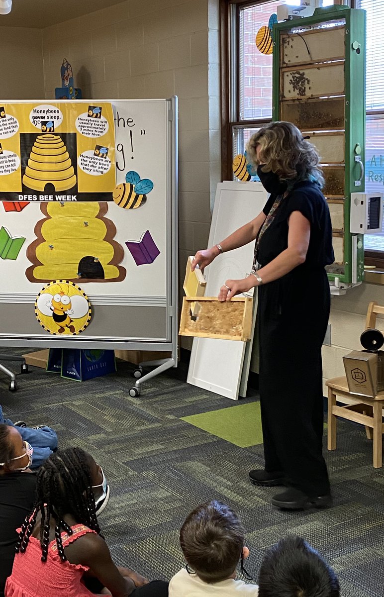 DfesLibrary's tweet photo. We had a lot of fun learning about #bees this week for Bee Week in the media center. @fox_cubs  #pridein5  Thank you Mrs. Reit! @hreitDIS. https://t.co/fUbie5A1Kn