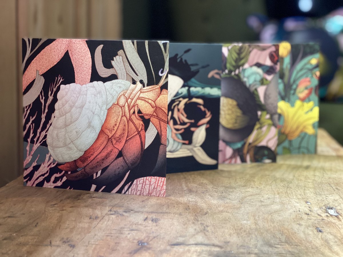 Nuthatch_Grey's tweet photo. Our fabulous luxury greetings cards are now stocked by the equally fabulous Period Features in Leek, Staffordshire 

#blankcards #SmallBusiness #uksmallbiz #supportlocalBusiness #campaignshopindependant 

https://t.co/SicKJc8juD https://t.co/kJHr2tPjw9