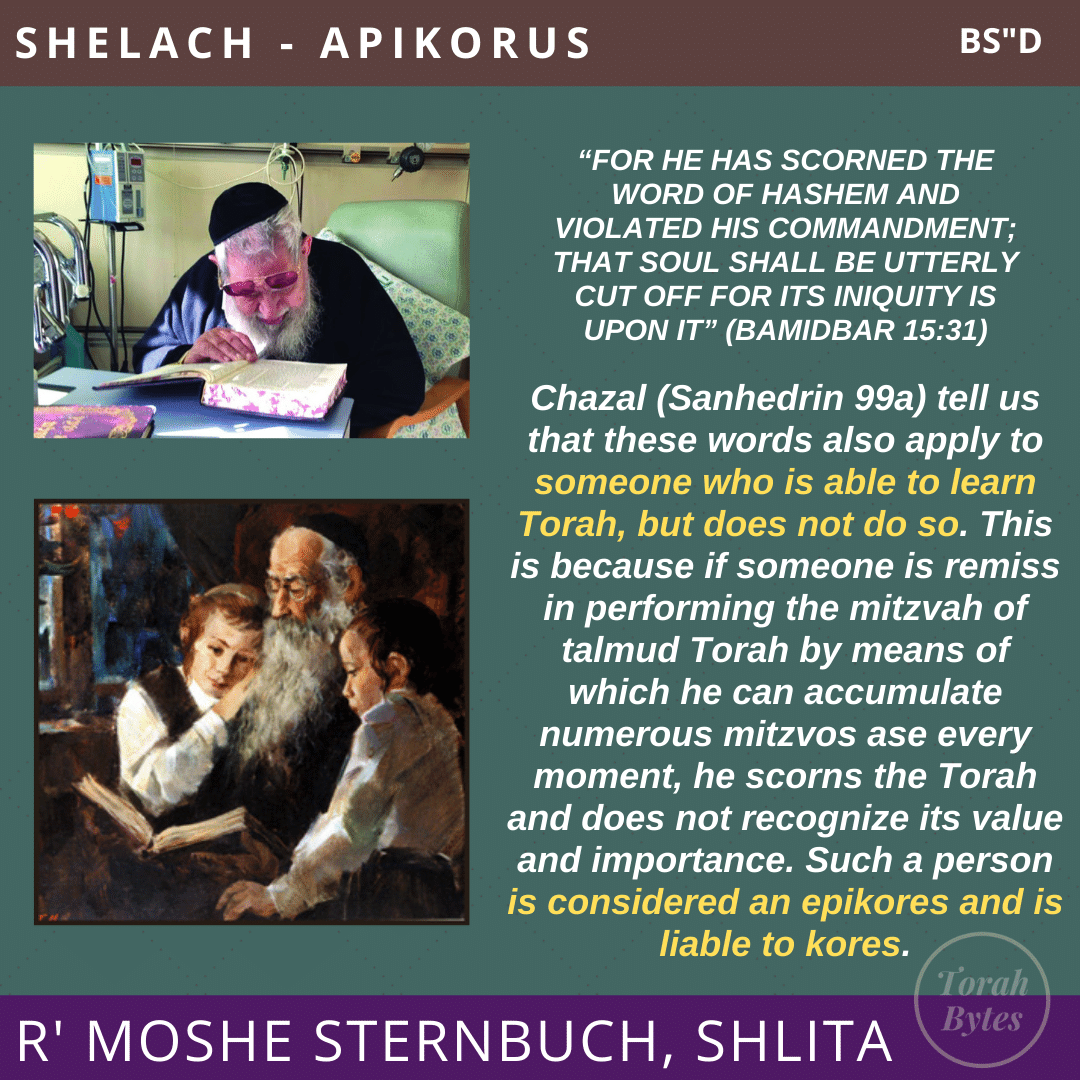 torahbytes613's tweet photo. #shelach #apikorus #torahstudy #sanhedrin #ravsternbuch https://t.co/Lex3qBdIm8