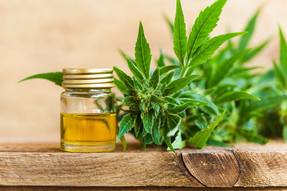 _RestoreHealth's tweet image. Did you know CBD is only one of more than 100 medicinally beneficial compounds found in a hemp plant? Too many CBD companies these days extract cheap CBD from low-quality hemp. We never do that. Our CBD is always from the highest quality hemp plant and full spectrum.

#CBD