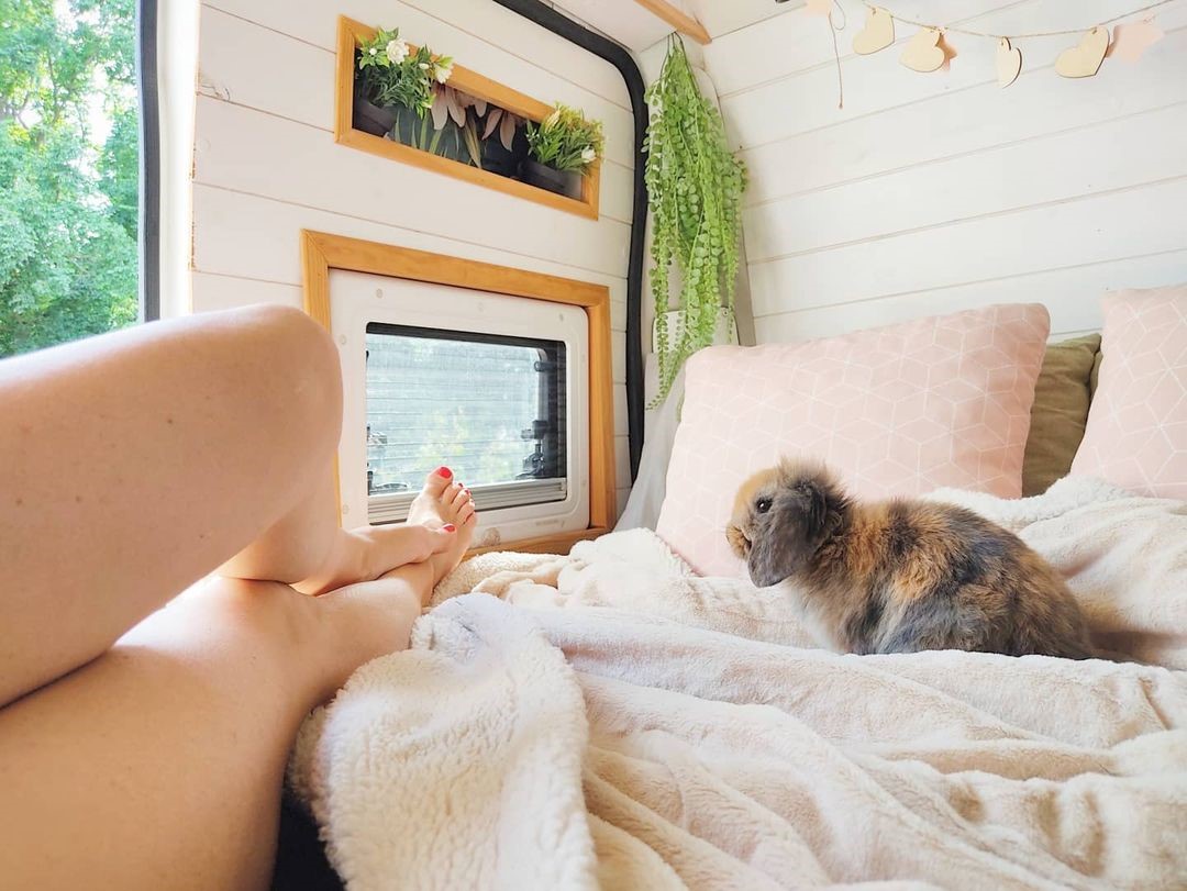 En Campercover buscamos #piesfurgoneteros !!!!
¿Quieres salir en la contraportada de <a href="/furgosfera/">Furgosfera</a>
Etiquétanos CAMPERCOVER en la foto!

Seguimos en búsqueda de #piesfurgoneteros! 
¿Qué hay que hacer? 

En <a href="/CamperCover/">Campercover</a> te contamos todos los pasos para poder participar!