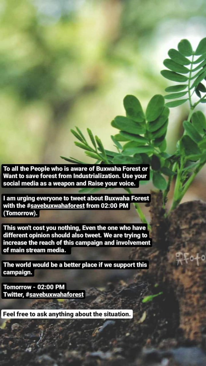 Adarshjainsir's tweet photo. #SaveBuxwahaForest
#songofprotest
#Protest
@Deepaksinghai2
@Deepesh__jain
@NeerajV43193853
@vikashd31809804
@adarshj12345
@SaveBuxwaha
@imbuxwahaforest
@AdityaBirlaGrp
@ChouhanShivraj https://t.co/kqdpKlhe4L