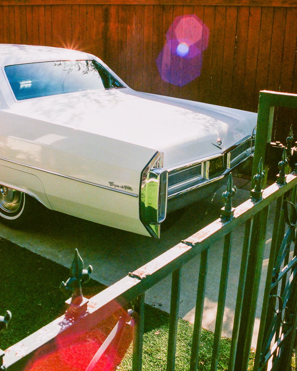SamPickett_'s tweet photo. Some film from walks around Long Beach 🎞️ https://t.co/RHQJF4W7QT