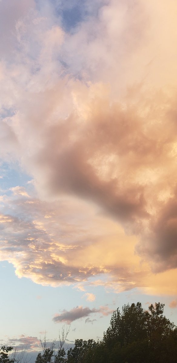 EarthyFaaye's tweet photo. I think we can agree that these are the prettiest pictures ever. Happy Venus day🧡💖 https://t.co/CJJTL4cwFA