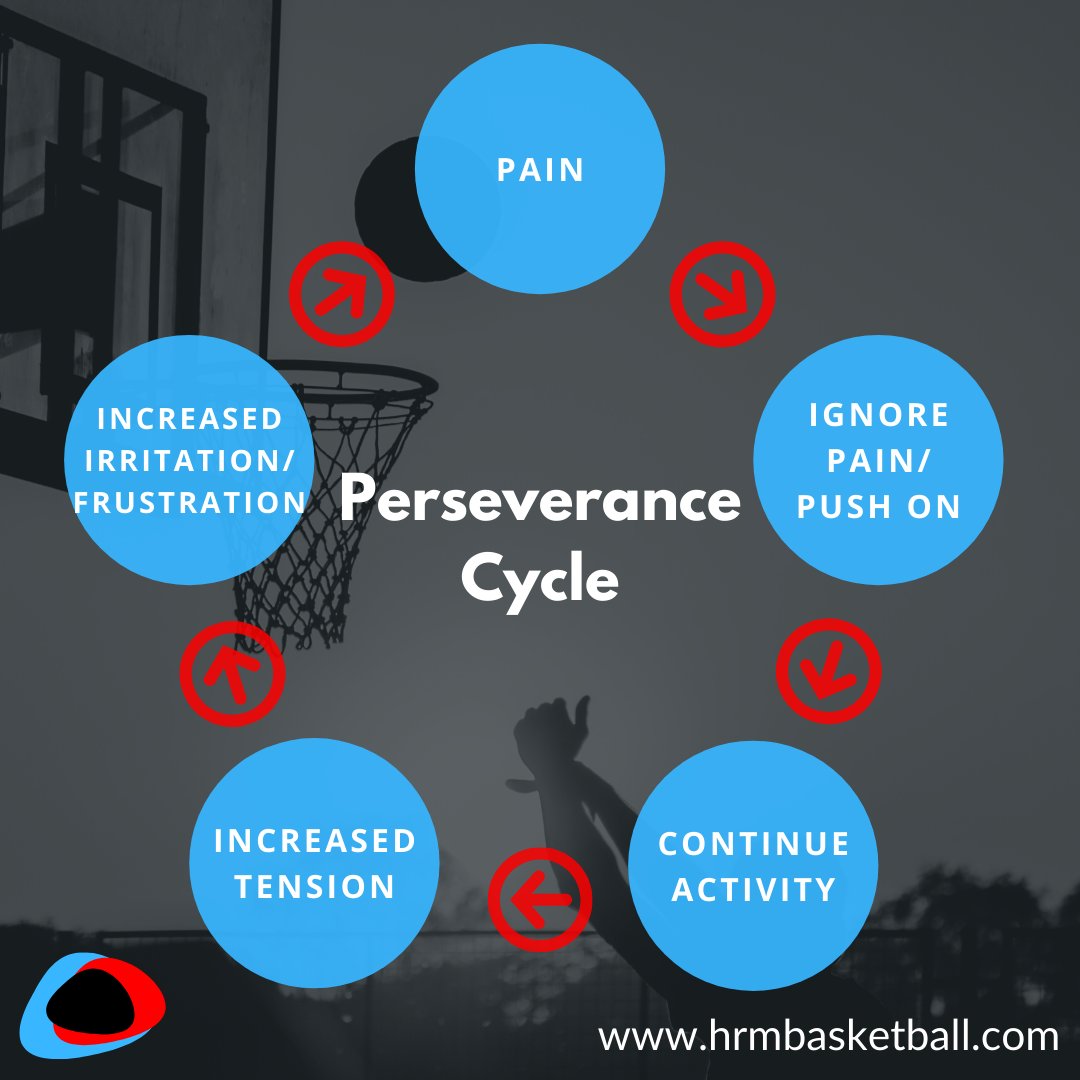 hrmbasketball's tweet photo. Activity Cycles are common barriers to a successful recovery from injury 🏀 🏥 
https://t.co/IxFZCTKzgW 

#painmanagement #pain #rehab #physio #physiotherapy #physicaltherapy #sportsmedicine #basketball #basketballfit #basketballneverstops #basketballislife #britishbasketball https://t.co/xeNP1RtP8Y