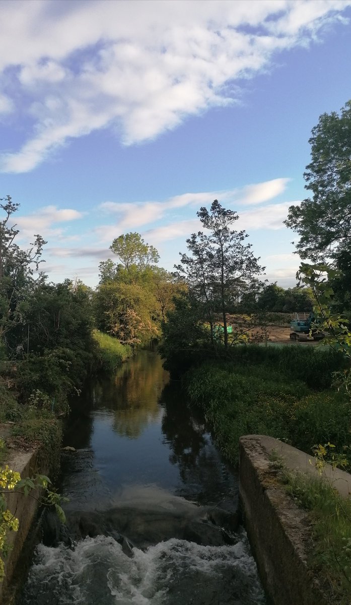 Meadhbh96's tweet photo. Home today! 

#BankHolidayWeekend #kildare #straffan #home #100daysofwalking #500daysofwalking #walkingthroughthecrisis #intokildare #visitkildare https://t.co/OplBrYY2j3