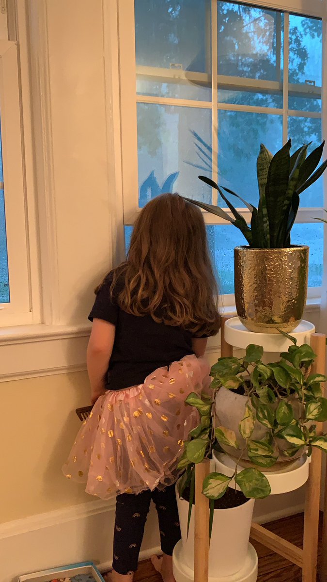 David Ingber tweet media