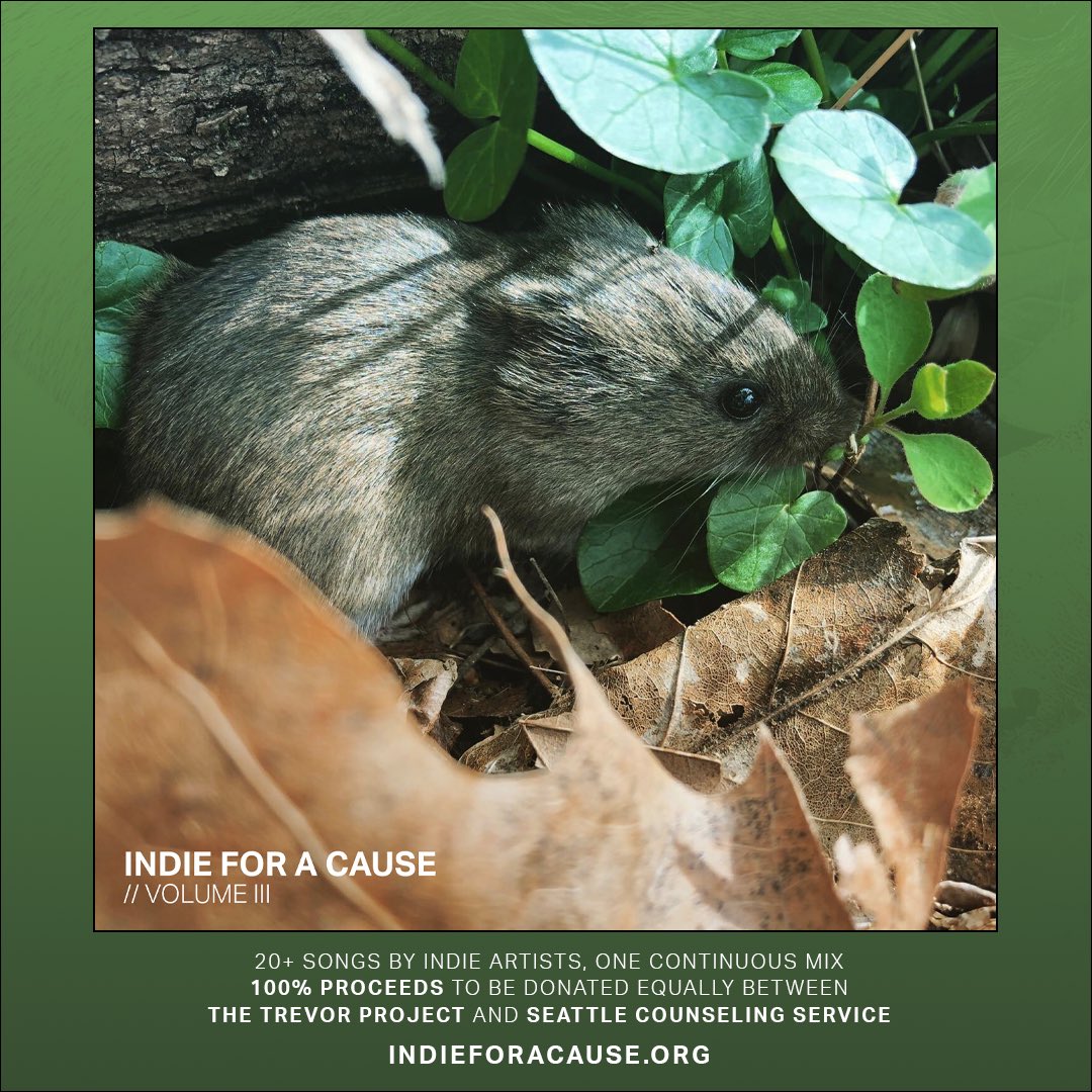 Indie for a Cause tweet media