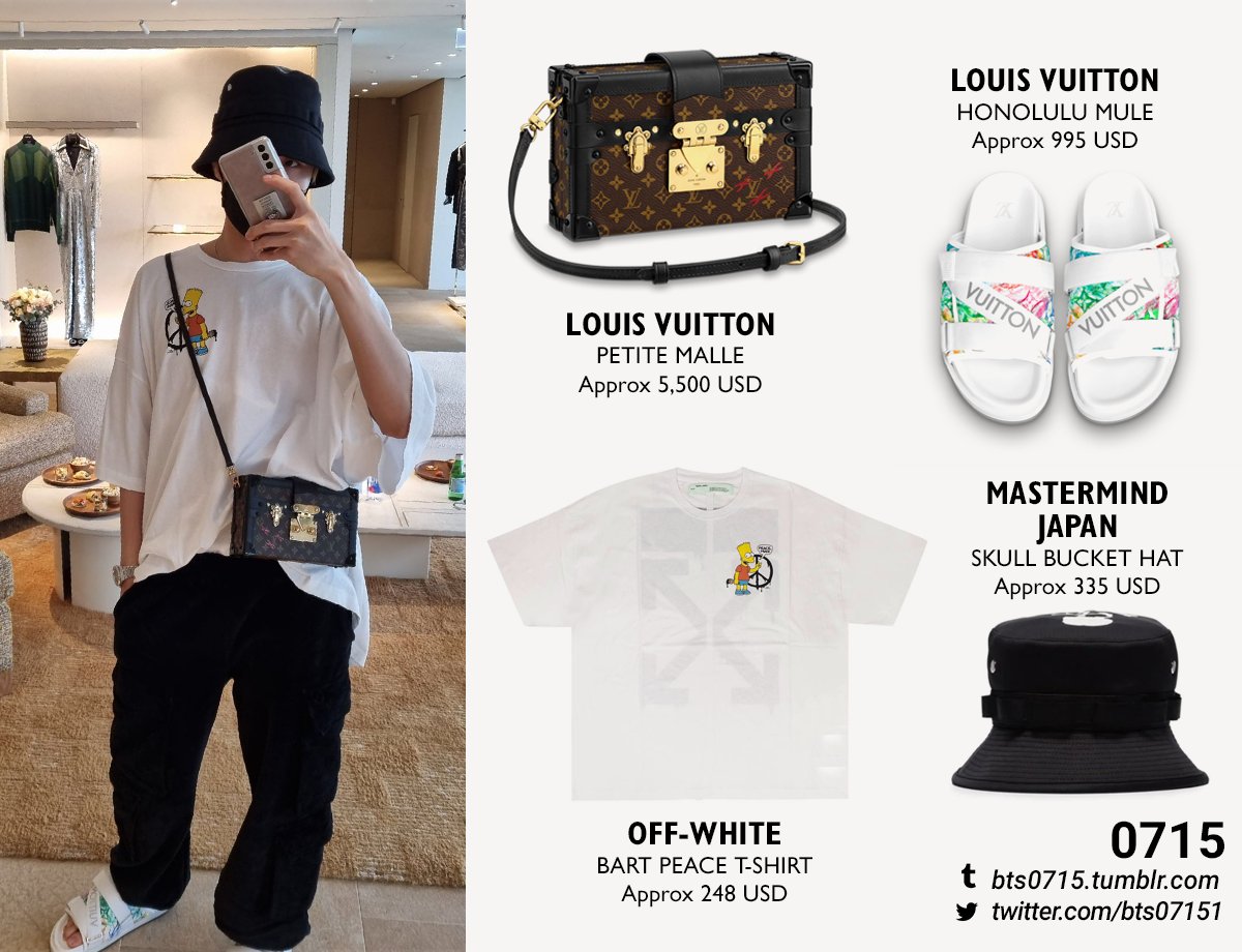 ELLE Japan features Jimin's Louis Vuitton 'Petite Malle' bag as