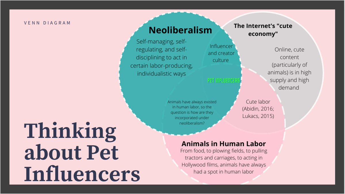 drjessmaddox's tweet image. If you’re at #PCAACA21, I’ll be talking about pet influencers today at 2:30 PM CST!